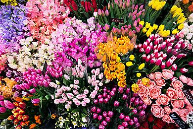 Intel 18A工艺拿下大单 代工64核心Arm处理器